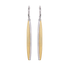 Two Tone Elongated Hoop Earrings