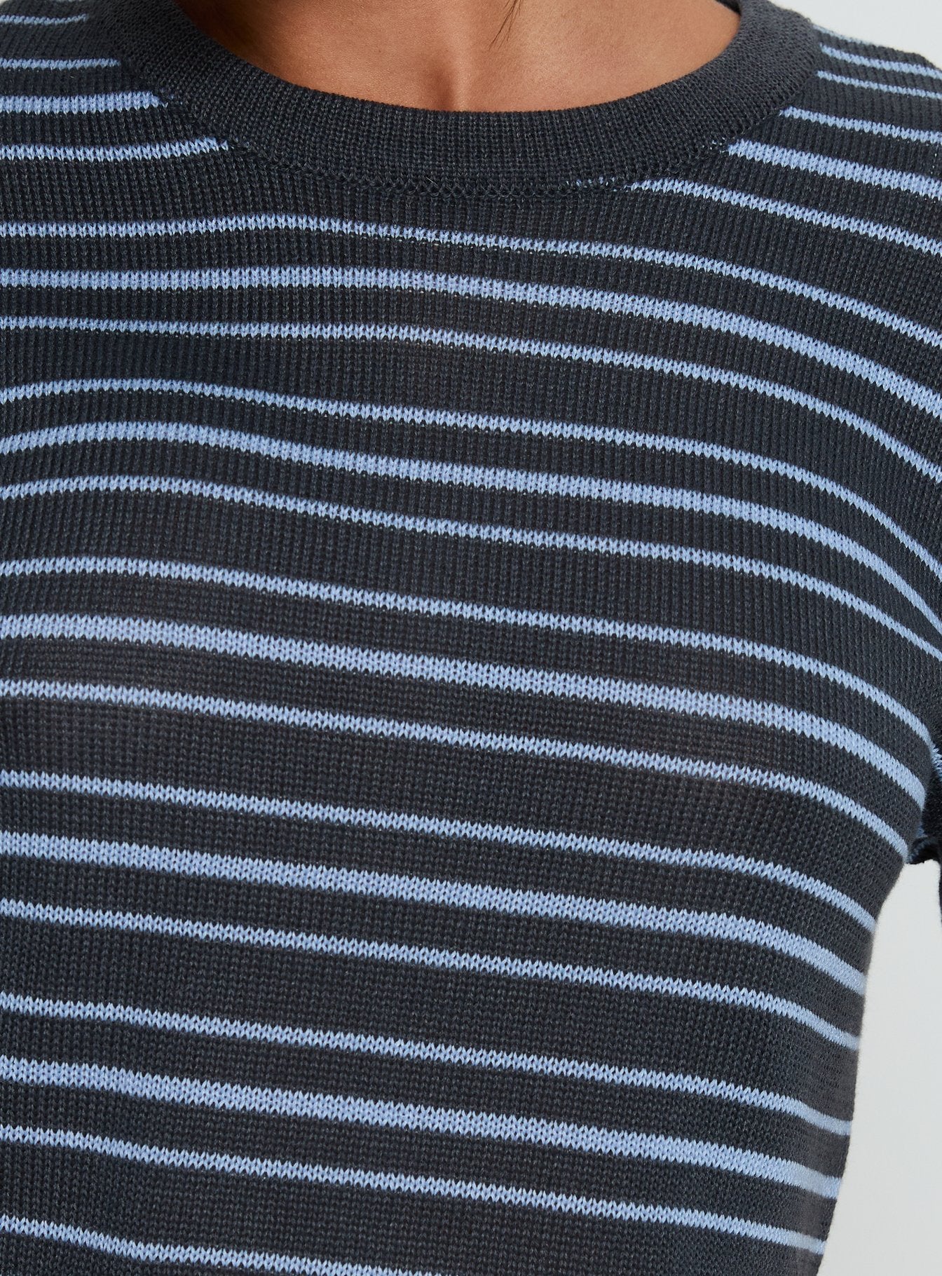 Arlynn Knit Cropped Crew Neck Top Blue Stripe