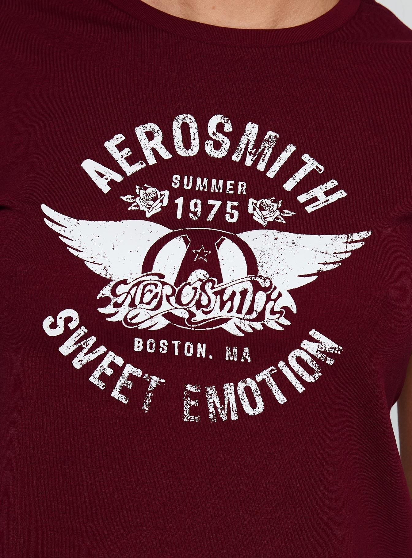 Aerosmith Vintage Graphic Top Burgundy
