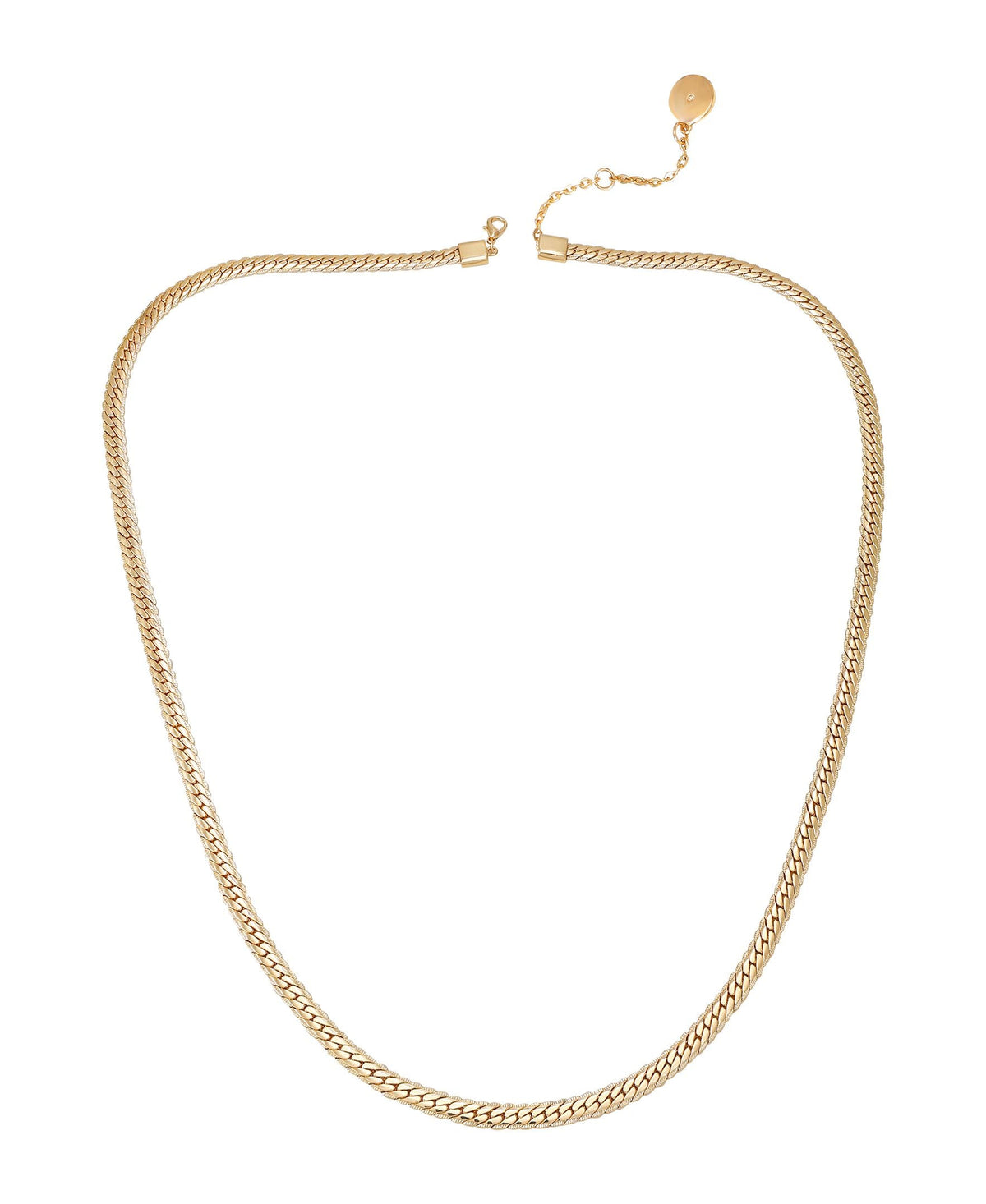 Goldtone Fancy Curb Necklace