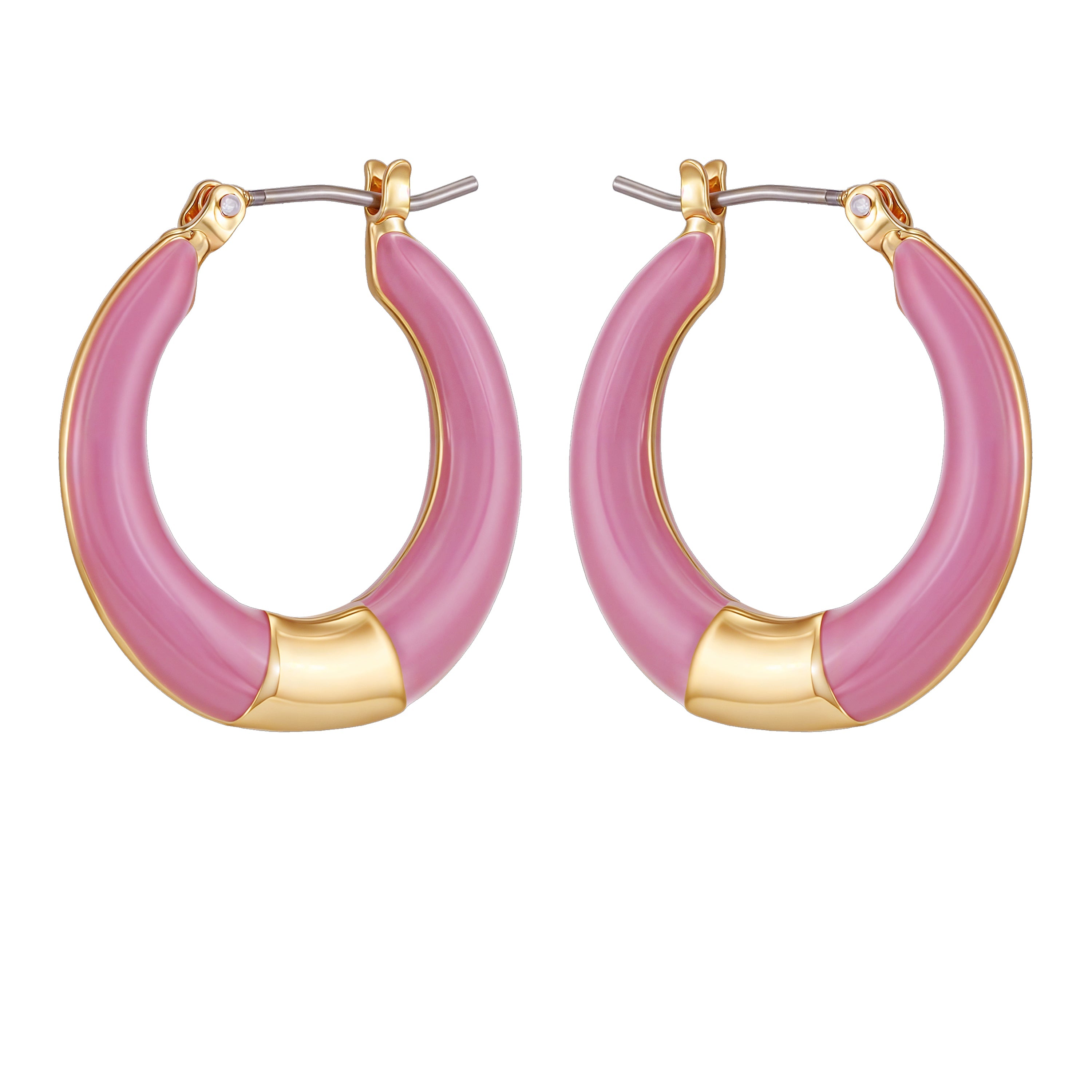 Gold Tone Enamel Hoop Earrings