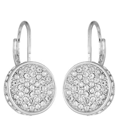 Silvertone Glass Stone Coin Leverback Earrings